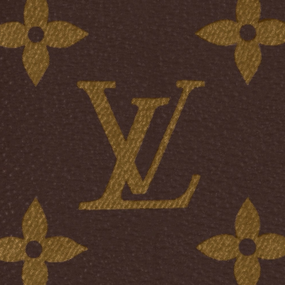 Louis Vuitton Brown monogram brazza Wallet - Picture 8 of 14